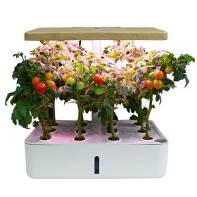 Hydroponics System Box Intelligent Full Spectrum Grow Light Mini Green Garden Plant Vegetable / Flower / Fruit