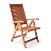 Malibu Outdoor 5-Position Reclining Chair